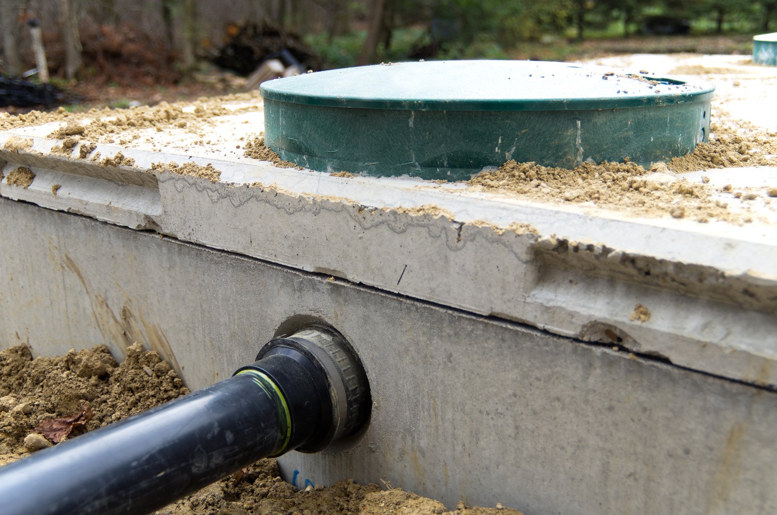 Szamba betonowe a zabezpieczenie przed szkodnikami – jak chronić zbiornik przed gryzoniami i insektami?